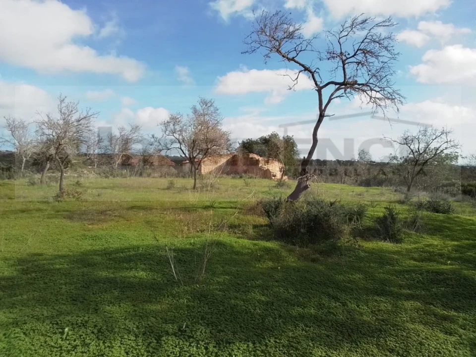 Terreno para Venda em Ferreiras Foto 13