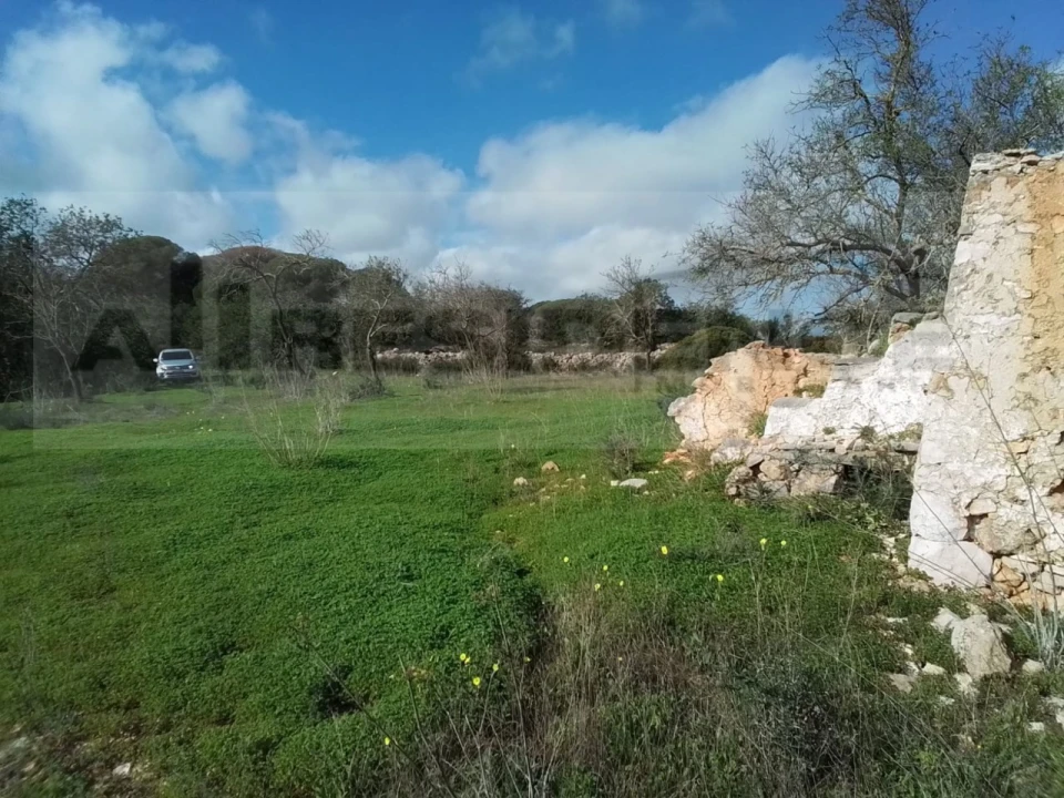 Terreno para Venda em Ferreiras Foto 14