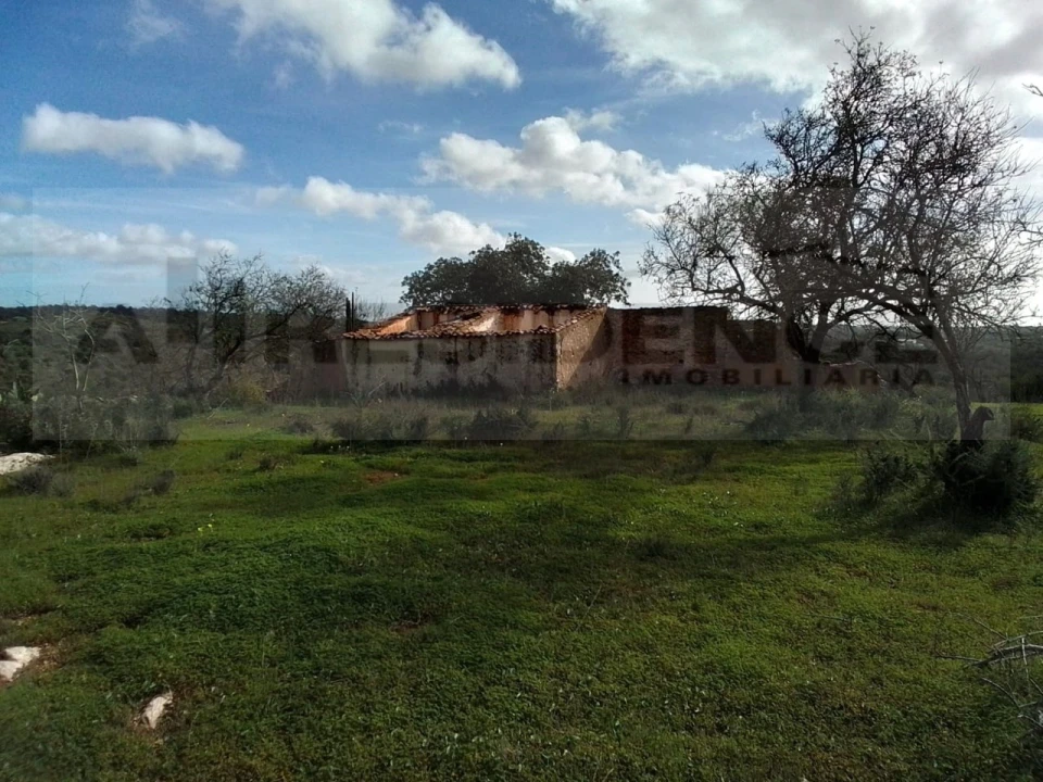 Terreno para Venda em Ferreiras Foto 21