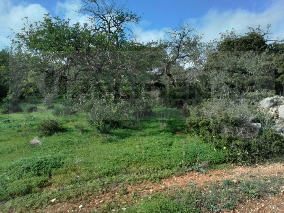 Terreno para Venda em Ferreiras Foto 23