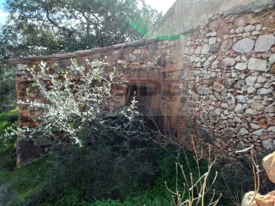 Terreno para Venda em Ferreiras Foto 24