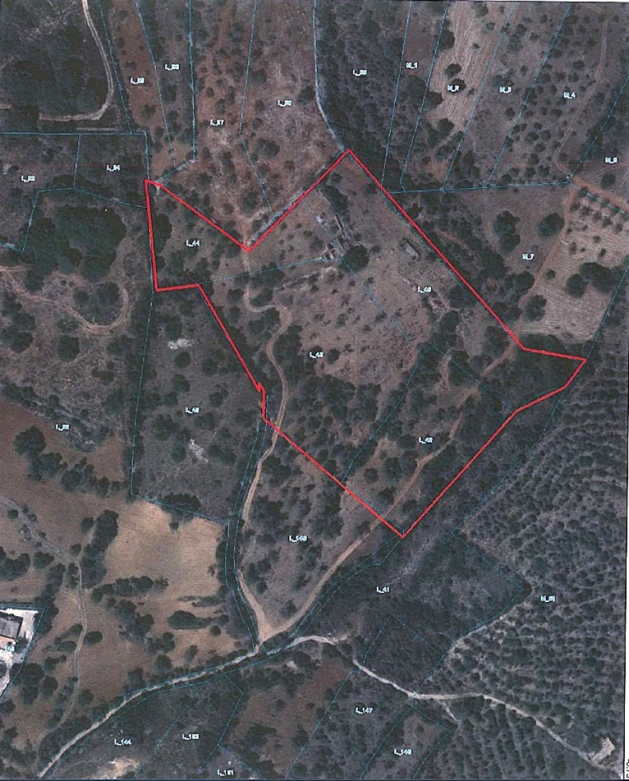 Terreno para Venda em Ferreiras Planta 1