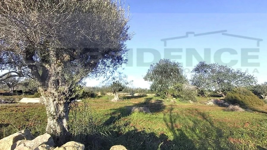 Terreno Agricola ou Rústico para Venda em Ferreiras