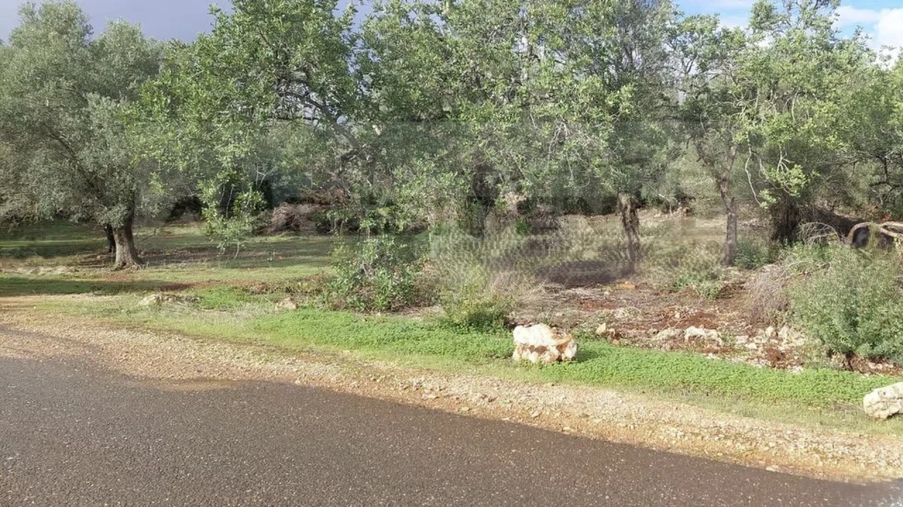 Terreno Agricola ou Rústico para Venda em Alte Foto 14