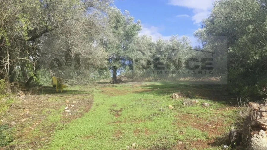 Terreno Agricola ou Rústico para Venda em Alte Foto 6
