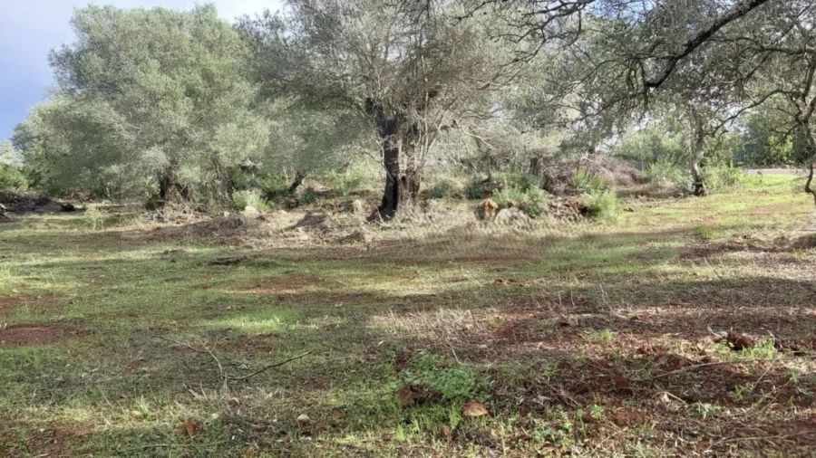 Terreno Agricola ou Rústico para Venda em Alte Foto 7