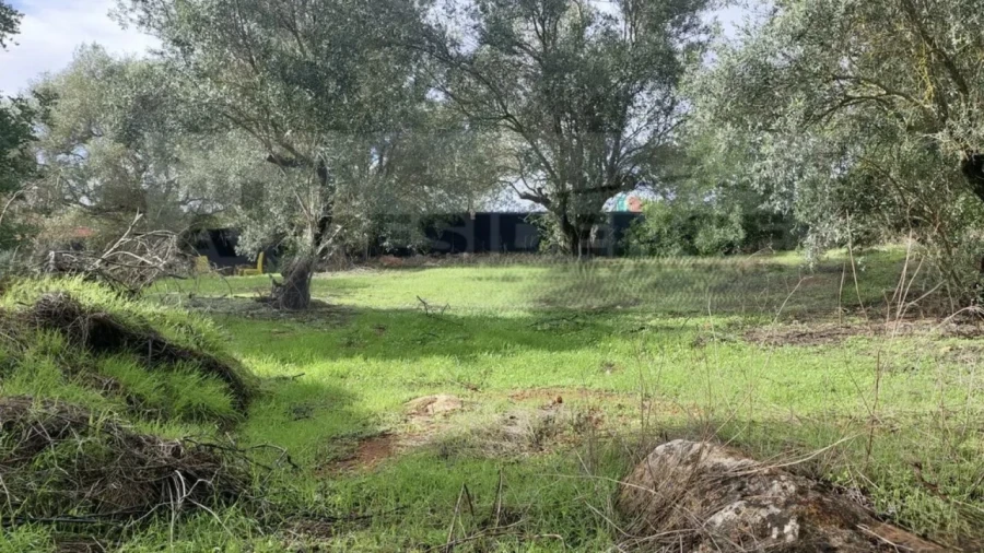 Terreno Agricola ou Rústico para Venda em Alte Foto 9