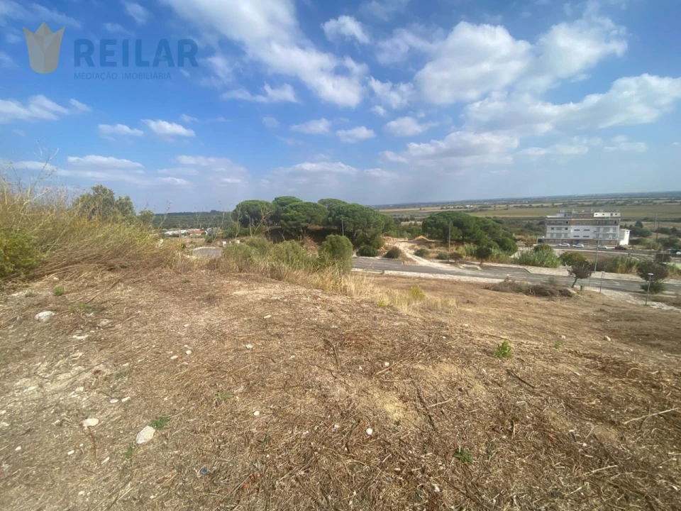 Terreno para Venda em Azambuja Foto 5