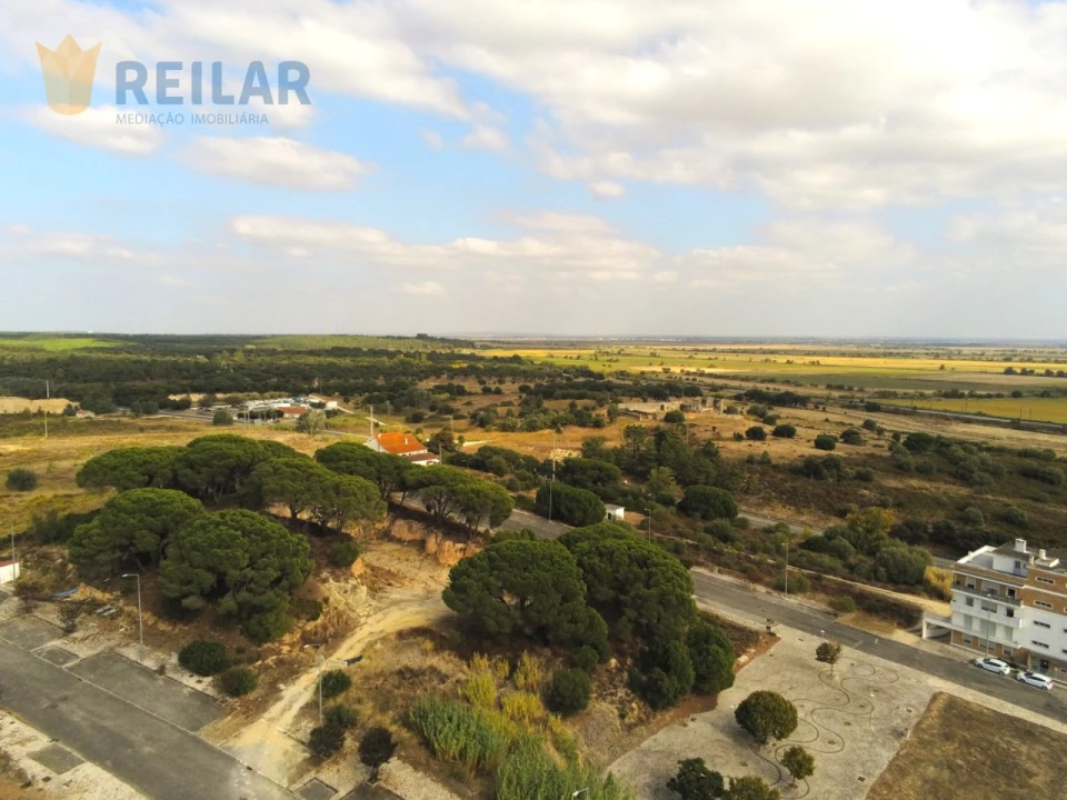 Terreno para Venda em Azambuja Foto 13