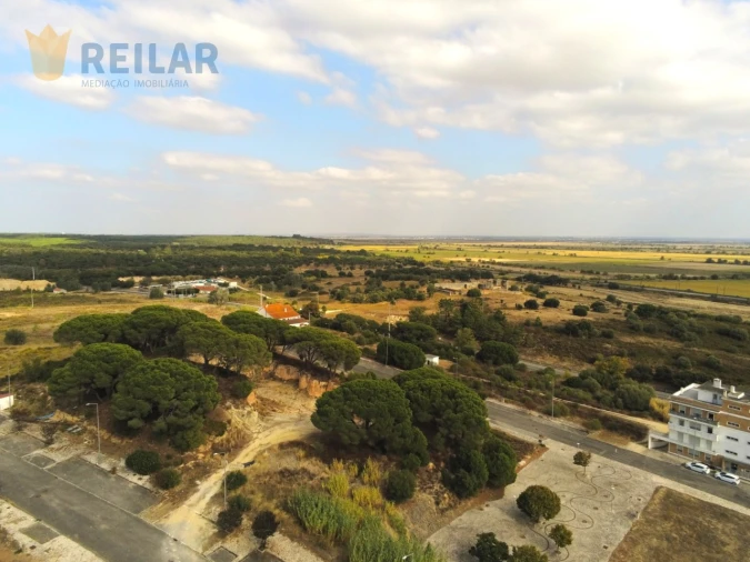 Terreno para Venda em Azambuja Foto 13