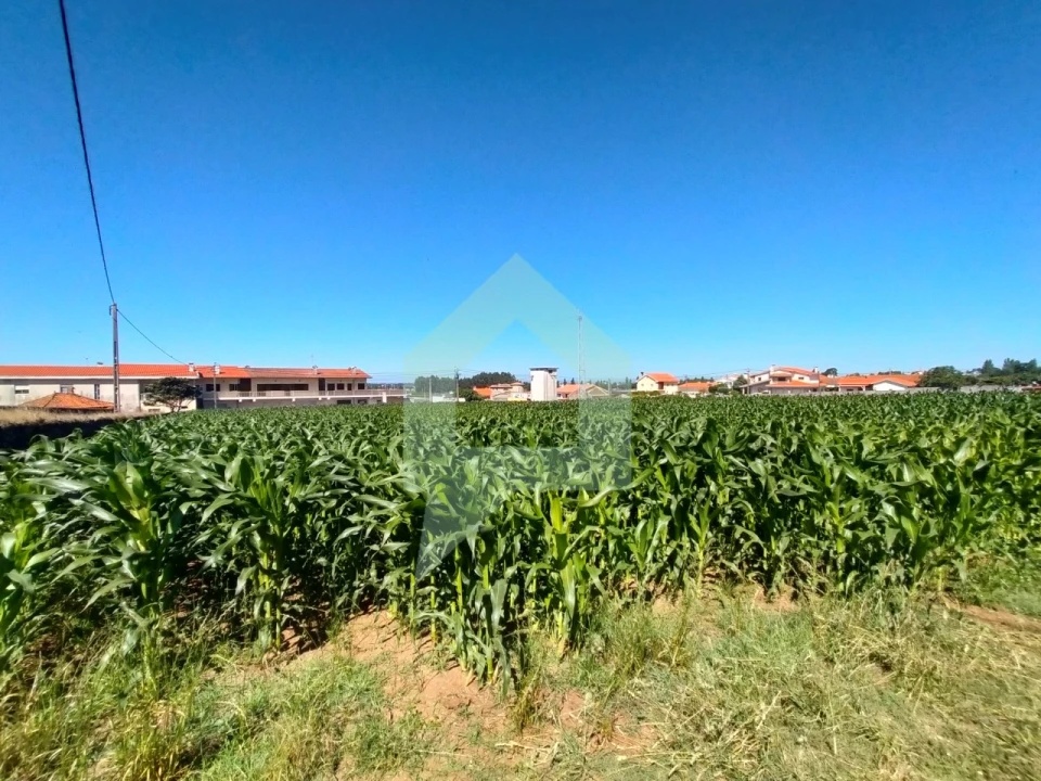 Terreno para Venda em Esposende, Marinhas e Gandra Foto 5