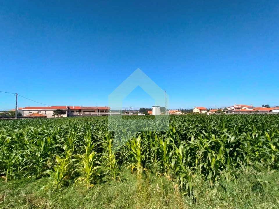 Terreno para Venda em Esposende, Marinhas e Gandra Foto 25