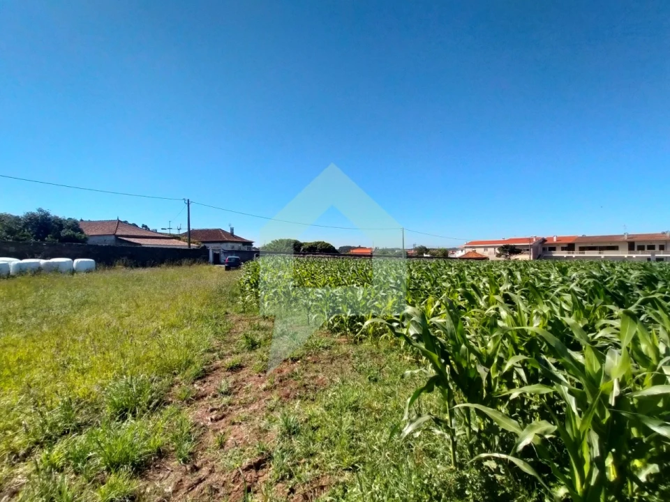 Terreno para Venda em Esposende, Marinhas e Gandra Foto 33