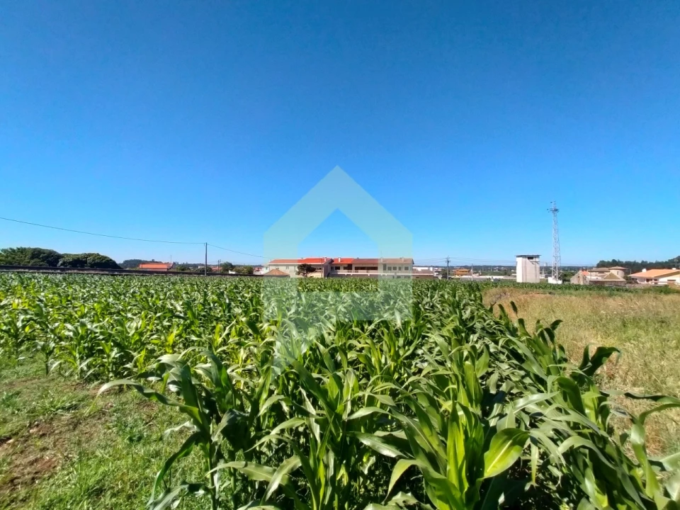 Terreno para Venda em Esposende, Marinhas e Gandra Foto 34