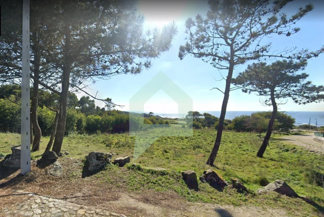 Terreno Agricola ou Rústico para Venda em Moledo e Cristelo Foto 1