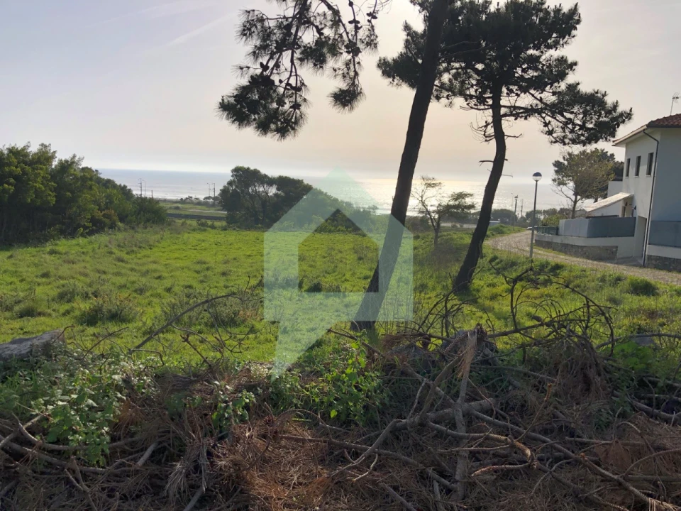 Terreno Agricola ou Rústico para Venda em Moledo e Cristelo Foto 3