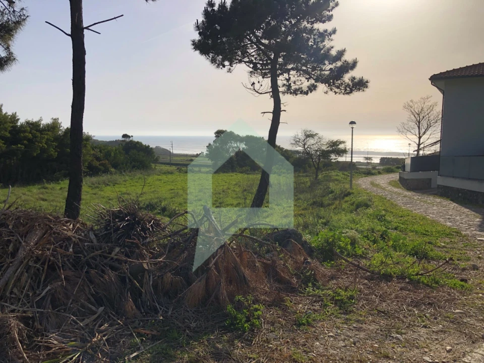 Terreno Agricola ou Rústico para Venda em Moledo e Cristelo Foto 8