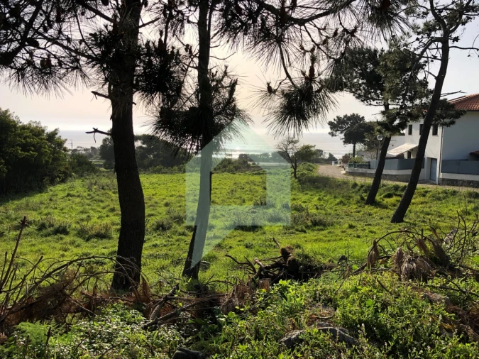 Terreno Agricola ou Rústico para Venda em Moledo e Cristelo Foto 5