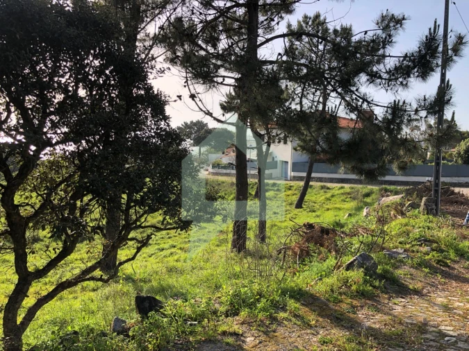 Terreno Agricola ou Rústico para Venda em Moledo e Cristelo Foto 6