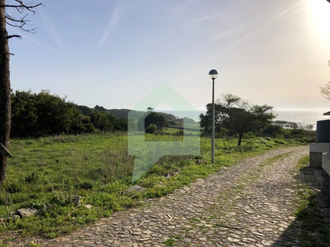 Terreno Agricola ou Rústico para Venda em Moledo e Cristelo Foto 9
