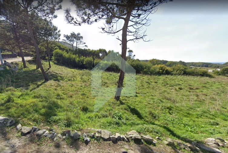 Terreno Agricola ou Rústico para Venda em Moledo e Cristelo Foto 11