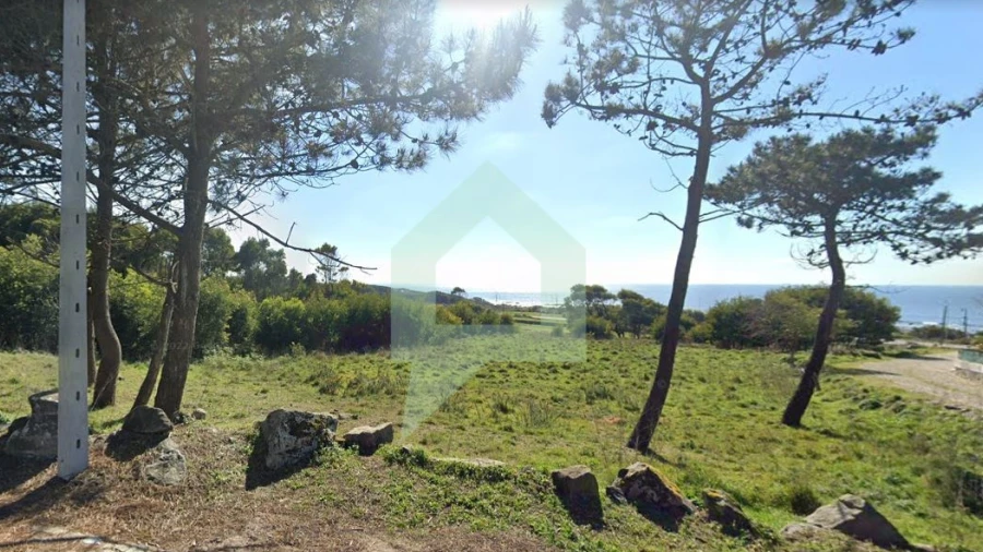 Terreno Agricola ou Rústico para Venda em Moledo e Cristelo