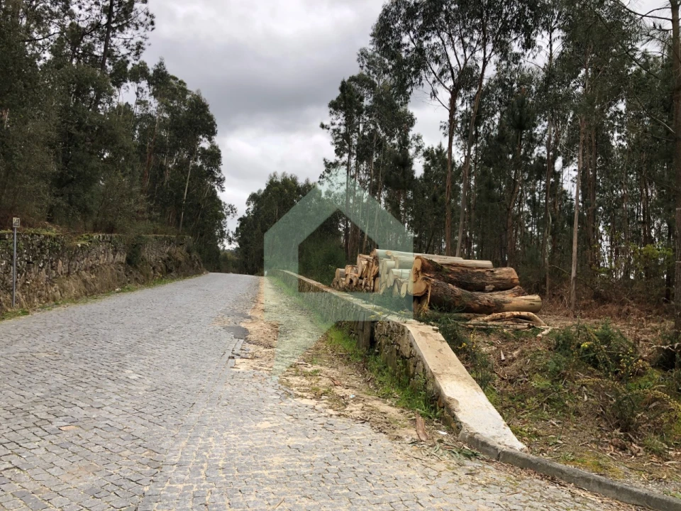 Terreno para Venda em Alvelos Foto 15