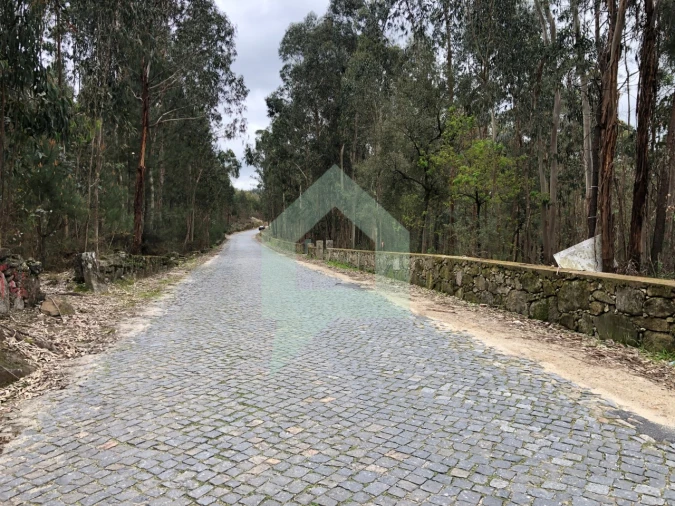Terreno para Venda em Alvelos Foto 7