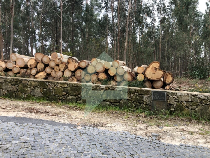 Terreno para Venda em Alvelos Foto 12