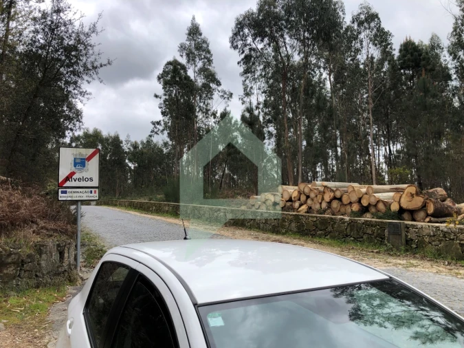 Terreno para Venda em Alvelos Foto 14