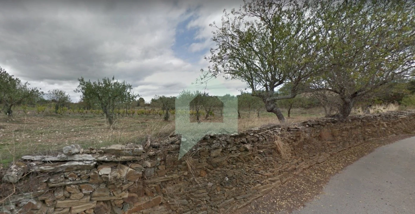 Terreno para Venda em Vila Nova de Foz Côa Foto 8