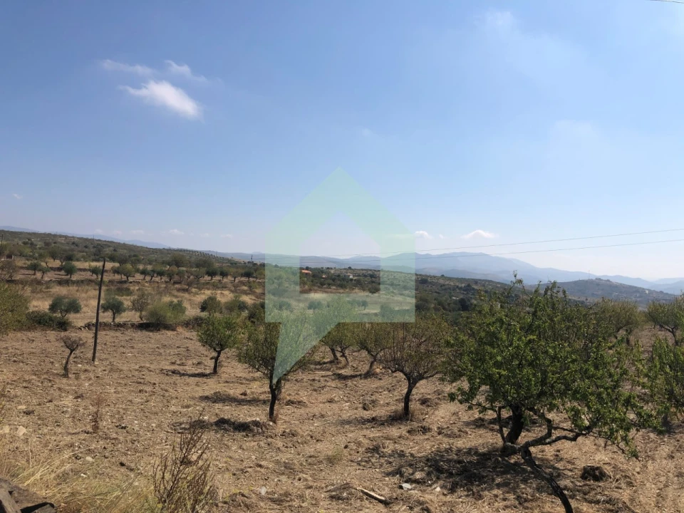 Terreno para Venda em Vila Nova de Foz Côa Foto 14