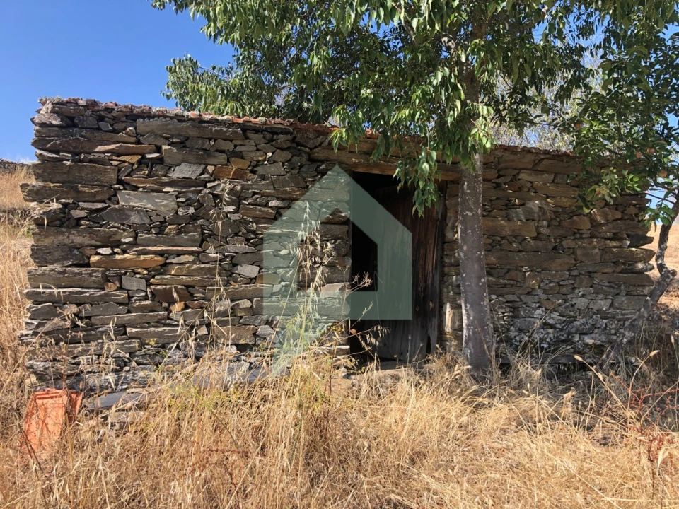 Terreno para Venda em Vila Nova de Foz Côa Foto 21