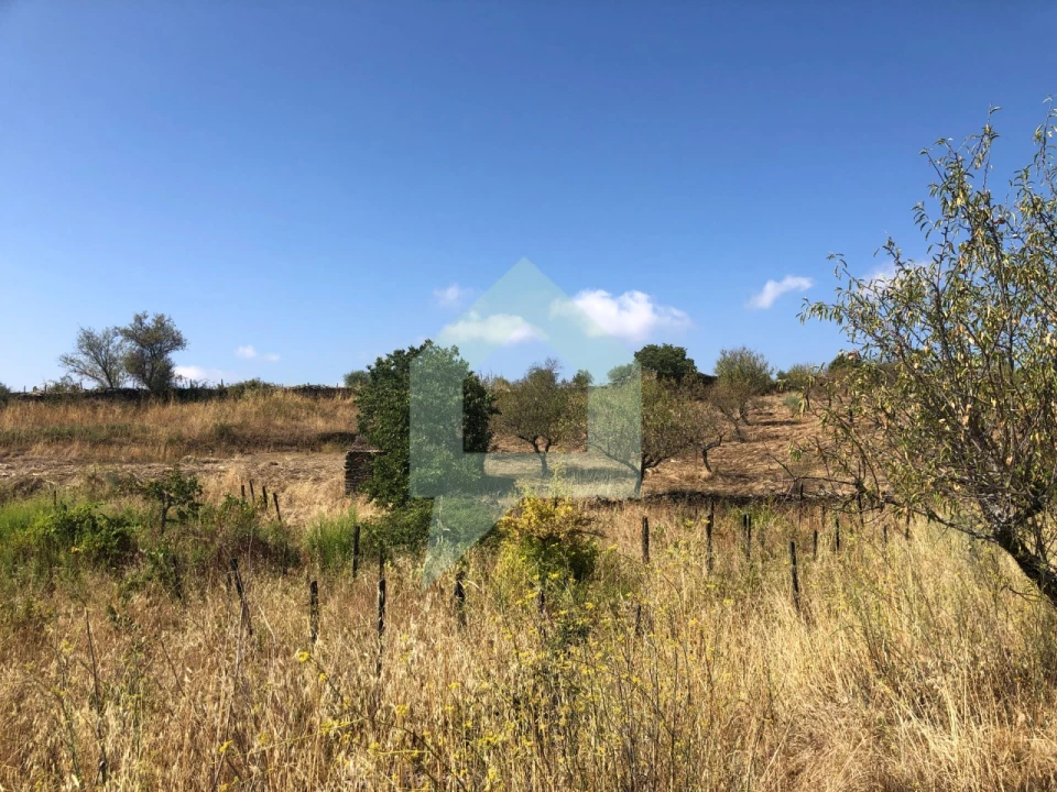 Terreno para Venda em Vila Nova de Foz Côa Foto 26