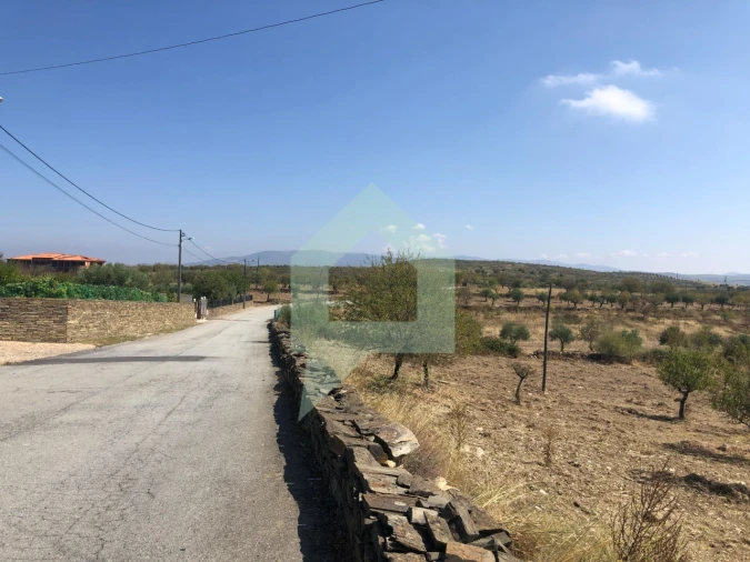 Terreno para Venda em Vila Nova de Foz Côa Foto 2