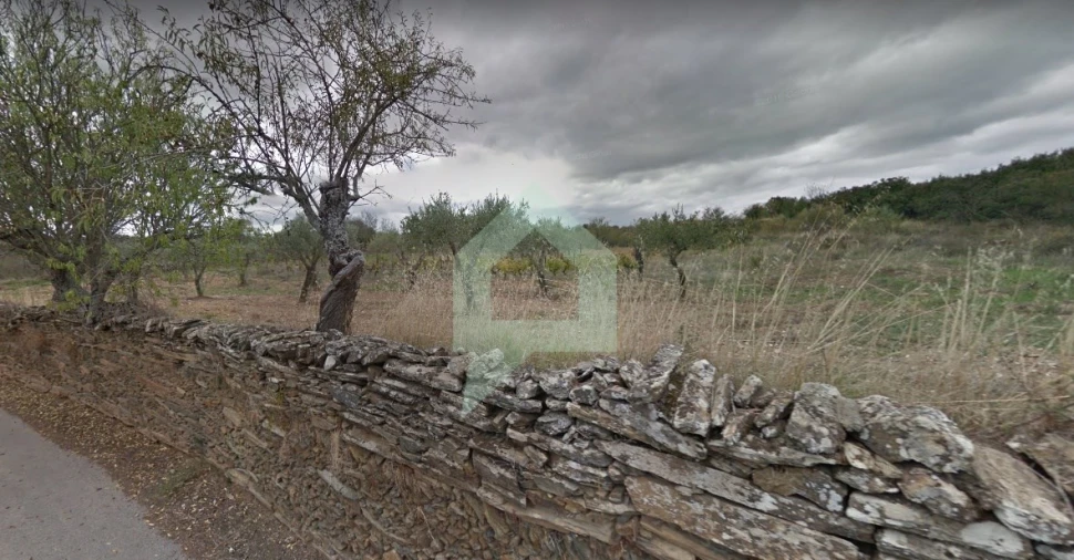 Terreno para Venda em Vila Nova de Foz Côa Foto 9