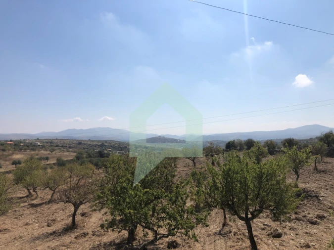 Terreno para Venda em Vila Nova de Foz Côa Foto 13