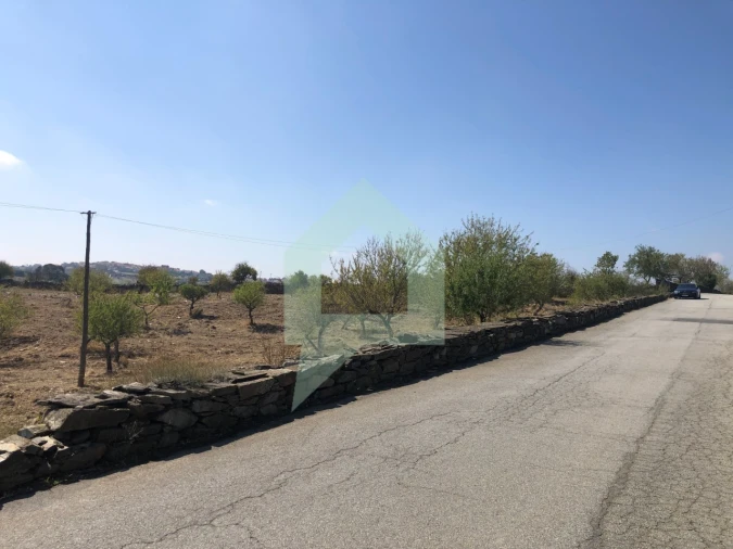 Terreno para Venda em Vila Nova de Foz Côa Foto 17