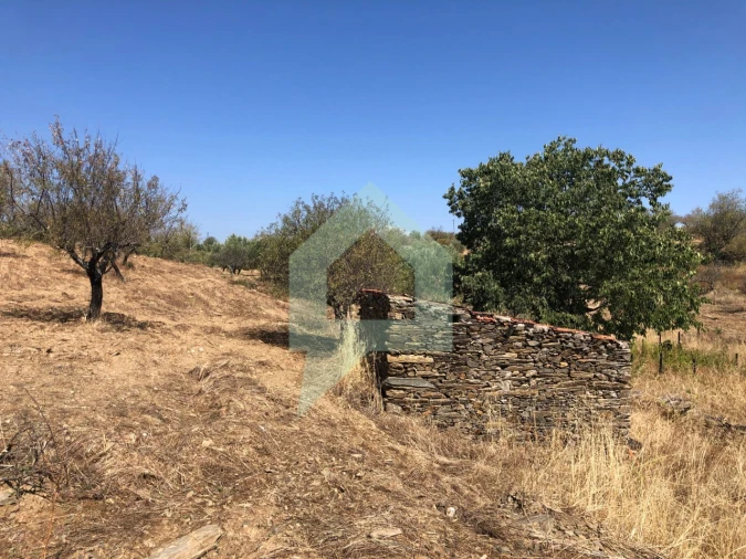 Terreno para Venda em Vila Nova de Foz Côa Foto 19