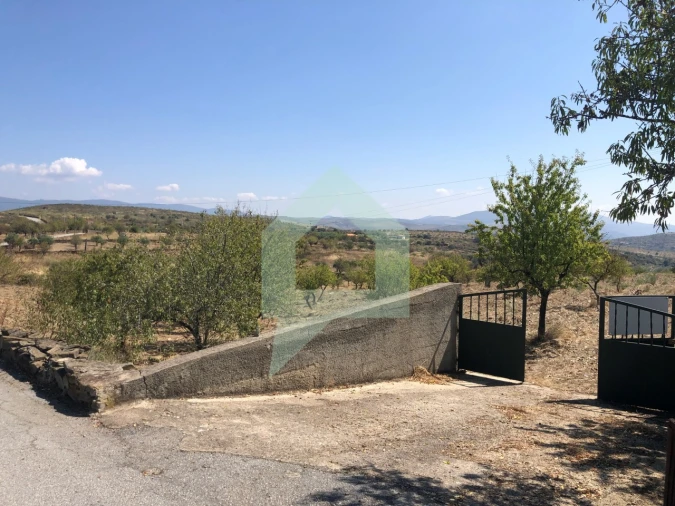 Terreno para Venda em Vila Nova de Foz Côa Foto 29