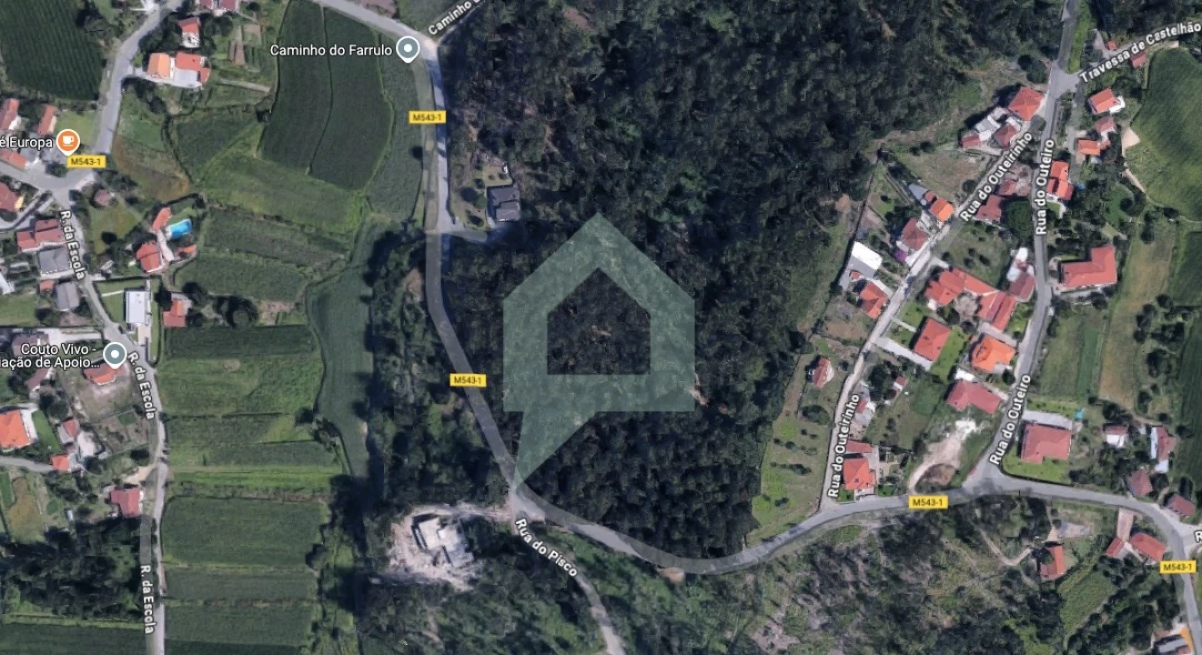 Terreno para Venda em Alvito (São Pedro e São Martinho) e Couto Foto 3