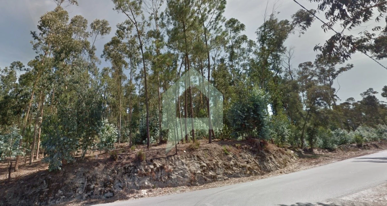 Terreno para Venda em Alvito (São Pedro e São Martinho) e Couto Foto 8