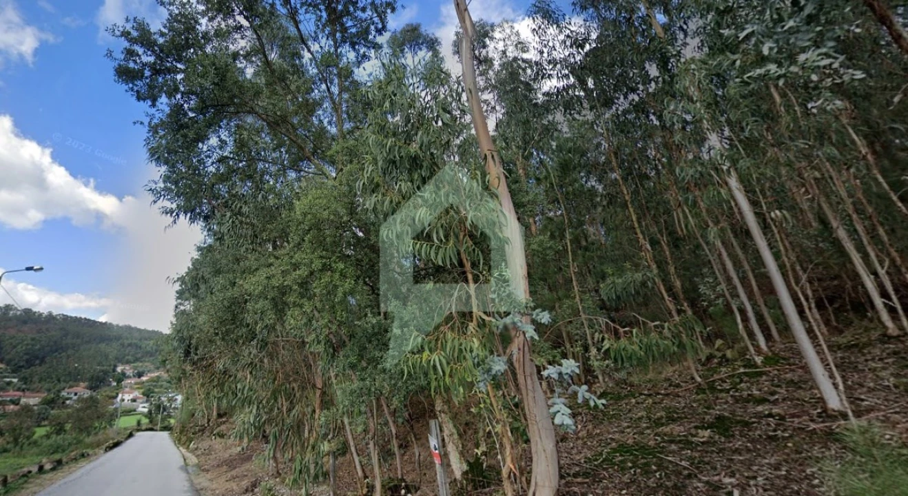 Terreno para Venda em Alvito (São Pedro e São Martinho) e Couto Foto 9