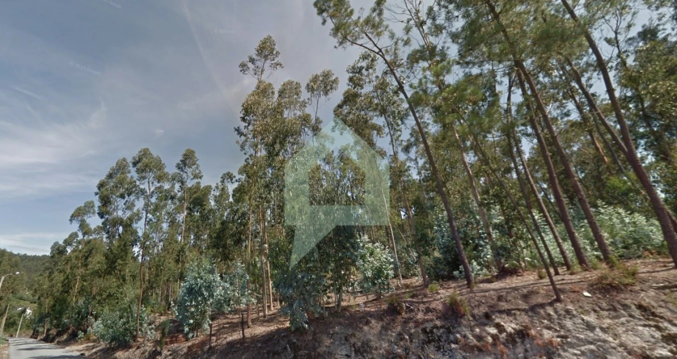 Terreno para Venda em Alvito (São Pedro e São Martinho) e Couto Foto 11