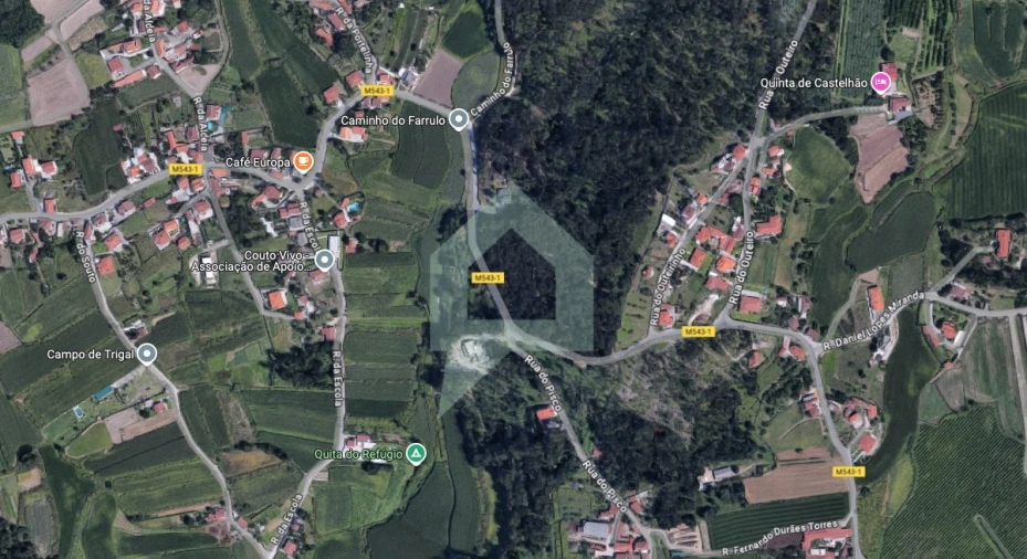 Terreno para Venda em Alvito (São Pedro e São Martinho) e Couto Foto 1