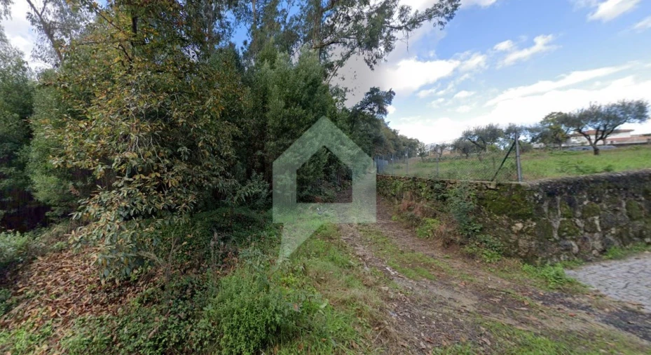 Terreno para Venda em Alvito (São Pedro e São Martinho) e Couto Foto 2