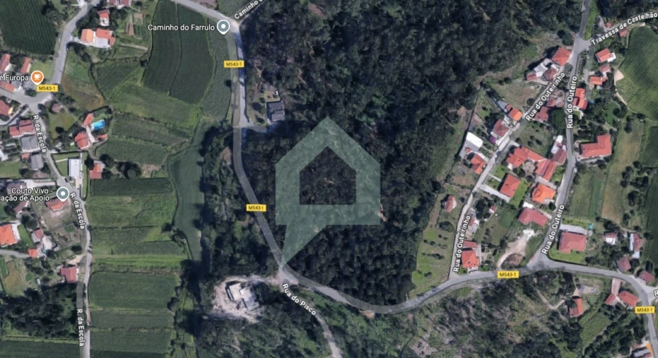 Terreno para Venda em Alvito (São Pedro e São Martinho) e Couto Foto 3