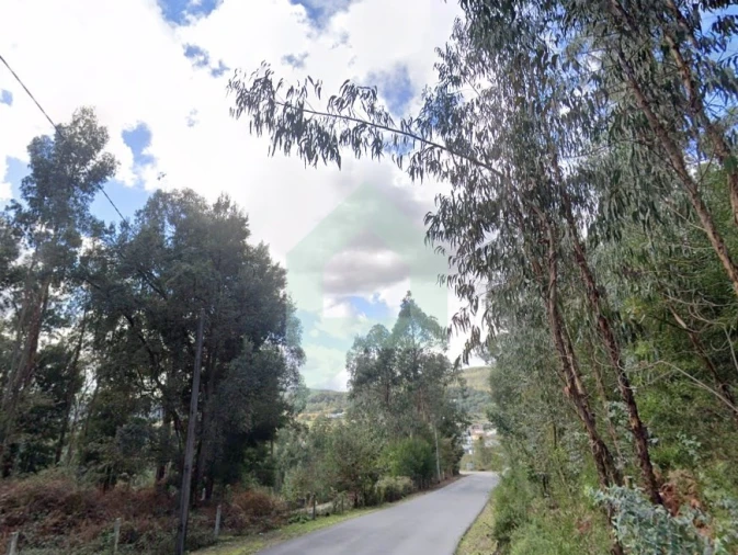 Terreno para Venda em Alvito (São Pedro e São Martinho) e Couto Foto 4