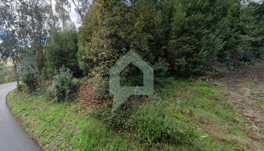 Terreno para Venda em Alvito (São Pedro e São Martinho) e Couto Foto 5