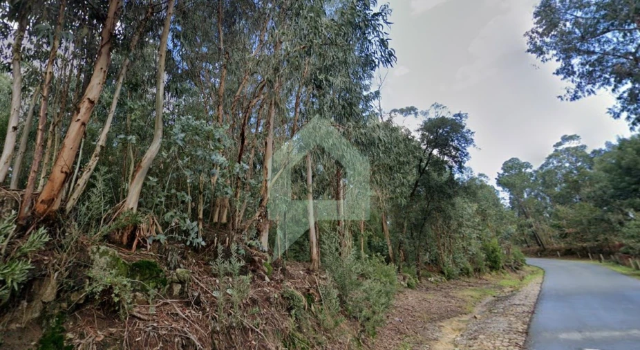 Terreno para Venda em Alvito (São Pedro e São Martinho) e Couto Foto 7